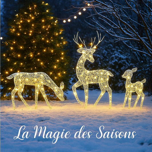 Ensemble Famille de Rennes Lumineux LED 2D - Décoration de Noël Extérieure (3 Pièces)