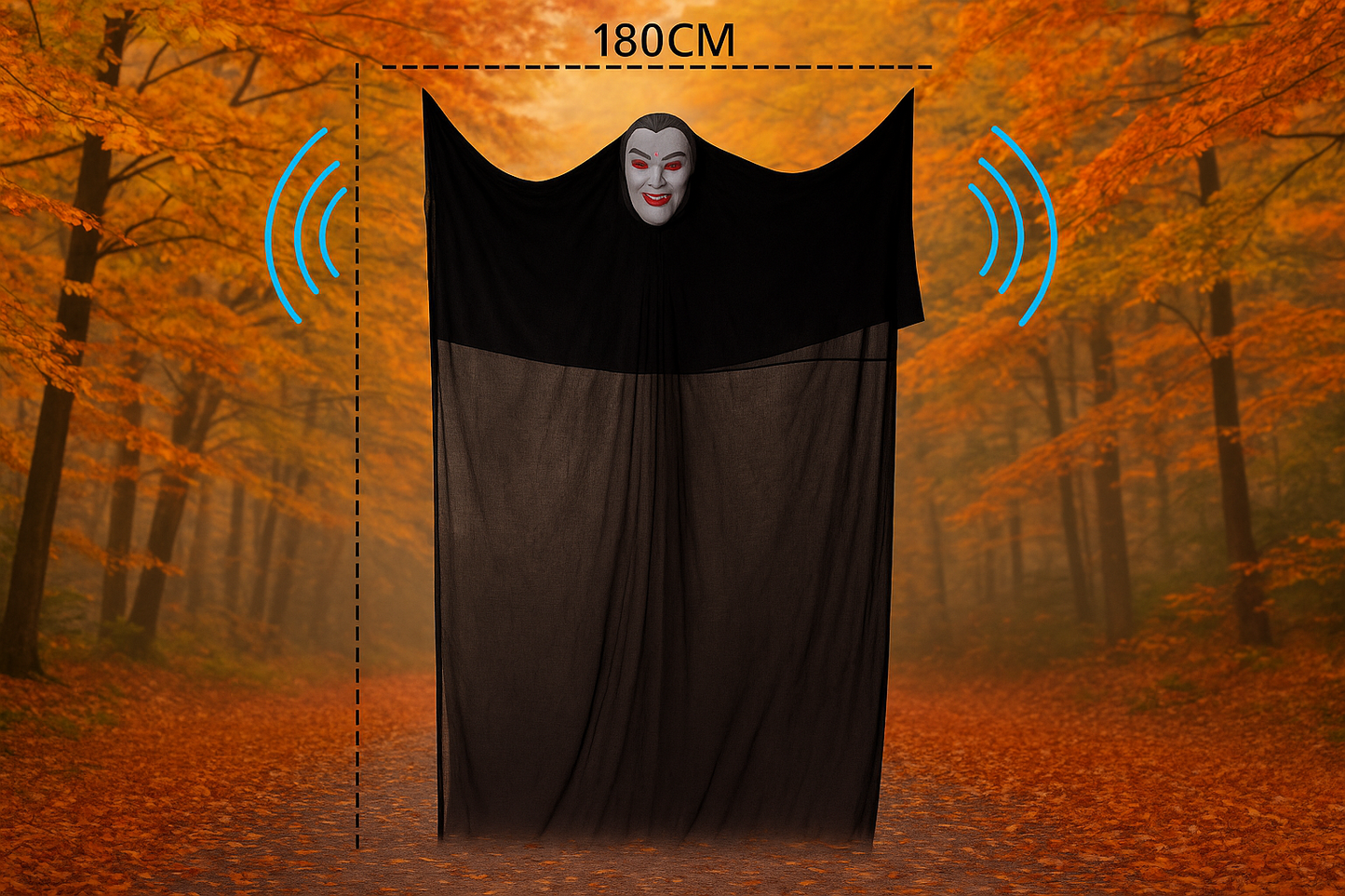 Dimensions et caractéristiques